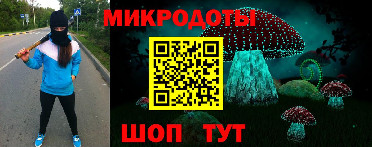 Псилоцибиновые грибы GOLDEN TEACHER  Вход с VPN  Псилоцибиновые грибы Cubensis  Выкса 